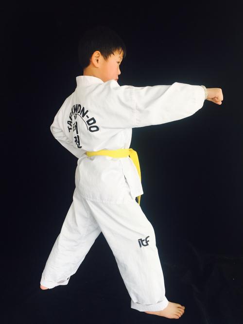 芒果国际跆拳道李鸿义天地特尔展示