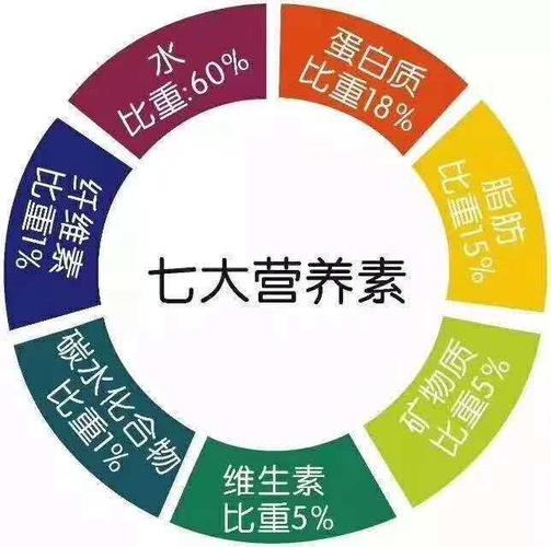 人为何要补充七大营养素