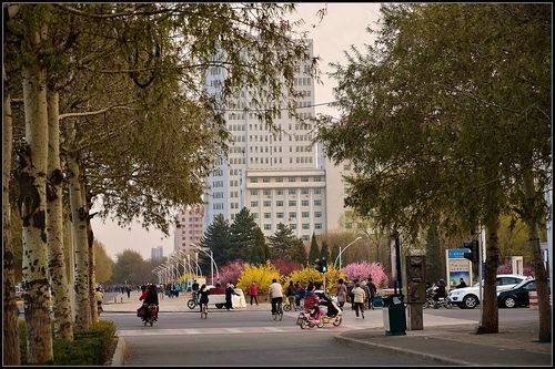 春天,鲜花中的城市街心小公园里与路口