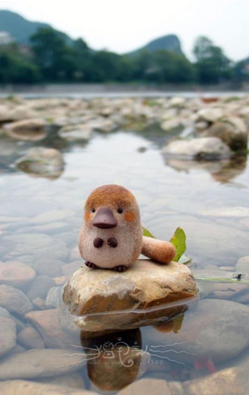 呆萌鸭嘴兽——旅游观光照版 羊毛毡(身体:羊毛,爪子