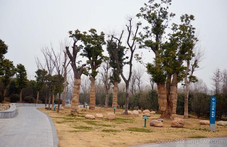 泗阳生态公园介绍