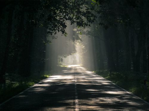 我们这般努力生活,就是为了站在阳光眼下,远离黑暗