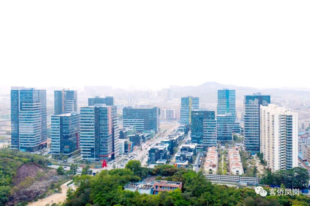 看变化话发展凤岗各界热切期盼党代会召开