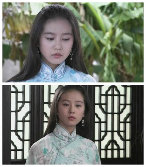 (飞花如蝶剧照)