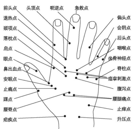 所有分类 医药卫生 手背穴位图  手背穴位图 人体全息穴区示意图(一)