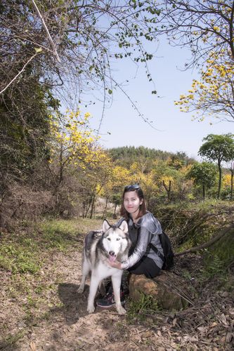 狗狗旅游团