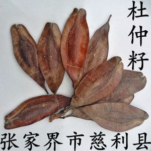 张家界中药材种子 慈利 杜仲种子50g 杜仲树籽 种植简单 新鲜晒干