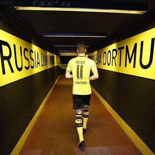 为什么罗伊斯落选了德国队2016年欧洲杯大名单