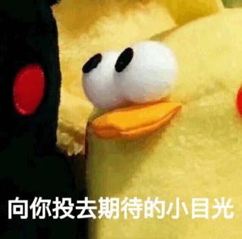 表情包:向你投去期待的小目光