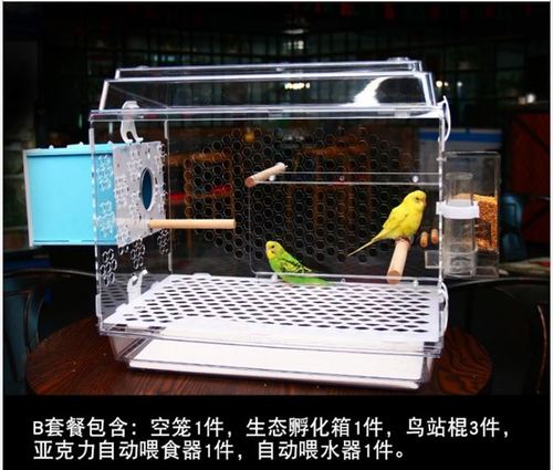 鹦鹉虎皮牡丹鸟笼子饲养箱孵化繁殖箱透明亚克力鸟笼观赏别墅鸟笼
