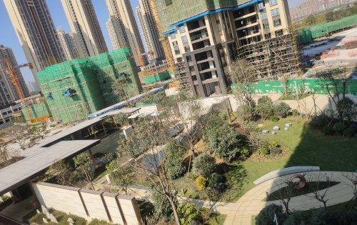 惠州楼盘 惠城楼盘 金山湖楼盘 德威江誉城 楼盘动态