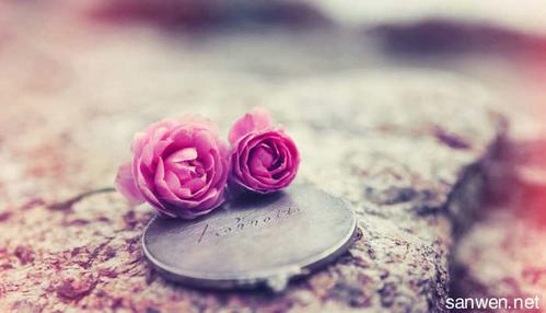 写真诚的人的文章__关于真诚的文章