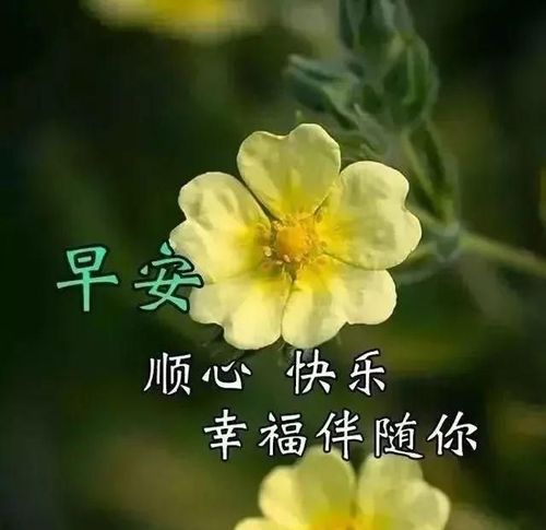 周末发朋友圈有创意的秋天早安问候图片愿你有自己喜欢的人