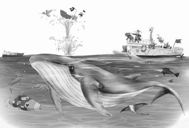 鲸鱼是鲸还是鱼?两百多年前,生物学家给出的答案是