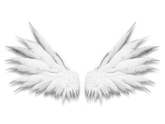 ppt素材 天使的翅膀羽毛高清免抠图(9张) 人气1504   下载428 316.