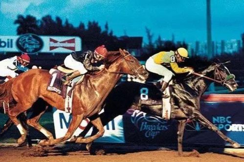 [闲聊杂谈]周日宁静介绍——让日本不再宁静的赛马(纯