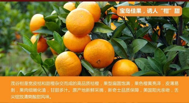 【天猫超市】台湾茂谷柑1kg(约110g/个)进口水果 柑橘 蜜桔蜜橘-天猫