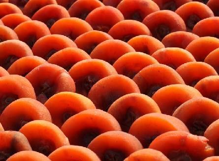 恭城月柿——桂林特产