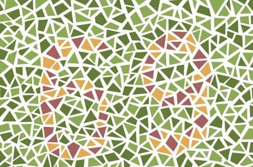 6张色盲测试图假如一张都过不了那你也许与驾照无缘了