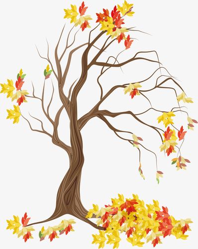 手绘秋天大树png