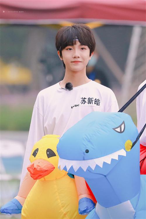 图源微博:koinobori·苏新皓