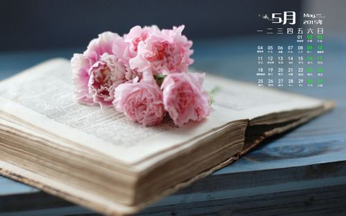 2015年5月日历壁纸小清新文艺范静物书本唯美高清图片下载