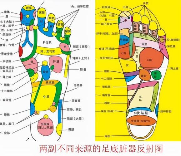 足底按摩真的有用吗
