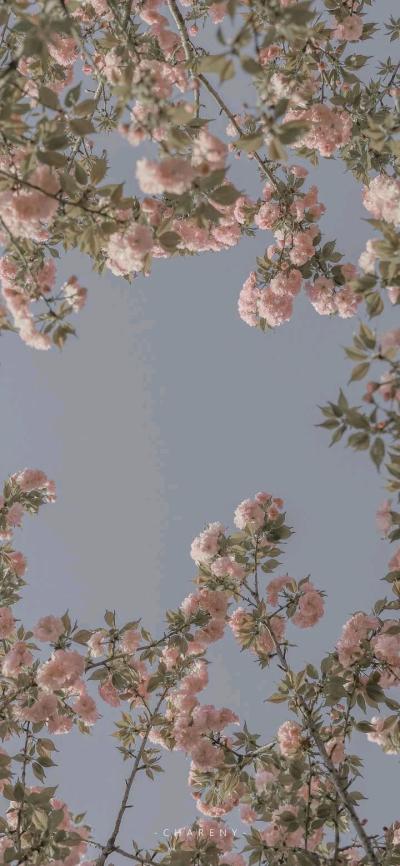 全屏手机壁纸男孩