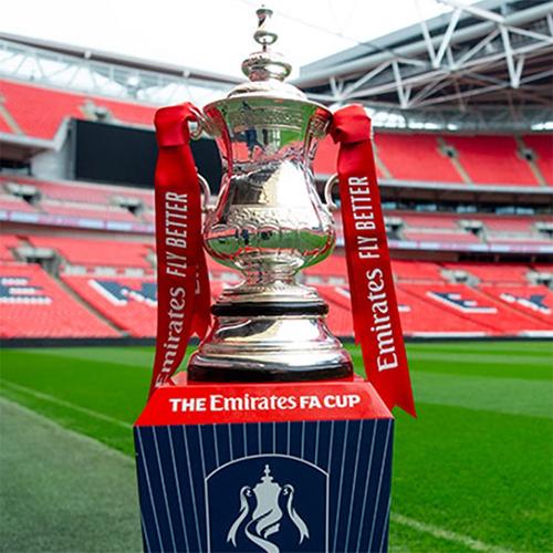 【会员专享】英格兰足总杯1:1奖杯英超足球纪念品球迷