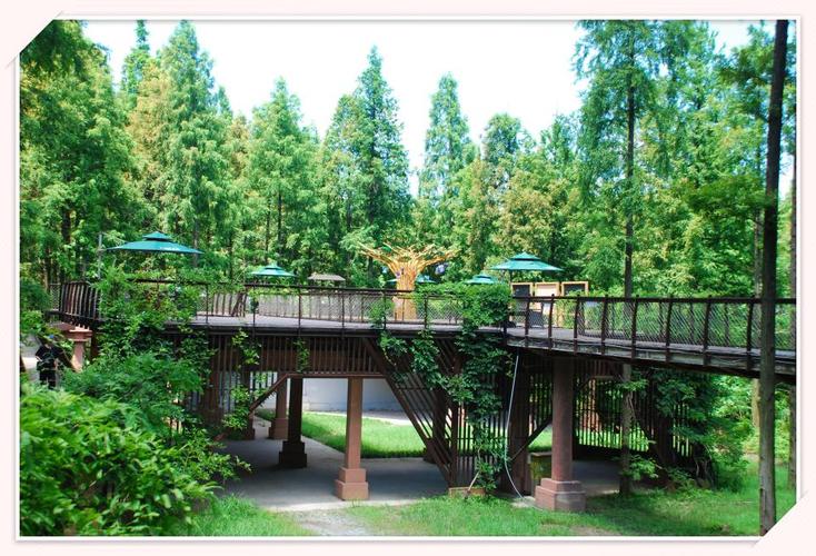 【原创】东台黄海国家森林公园