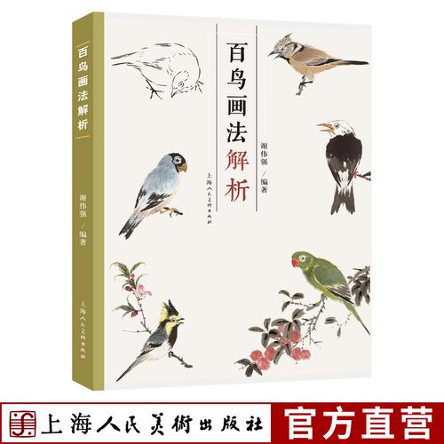 国画绘画技法教学鸟基本结构动态范图鹦鹉杜鹃等百种花鸟画范图临摹