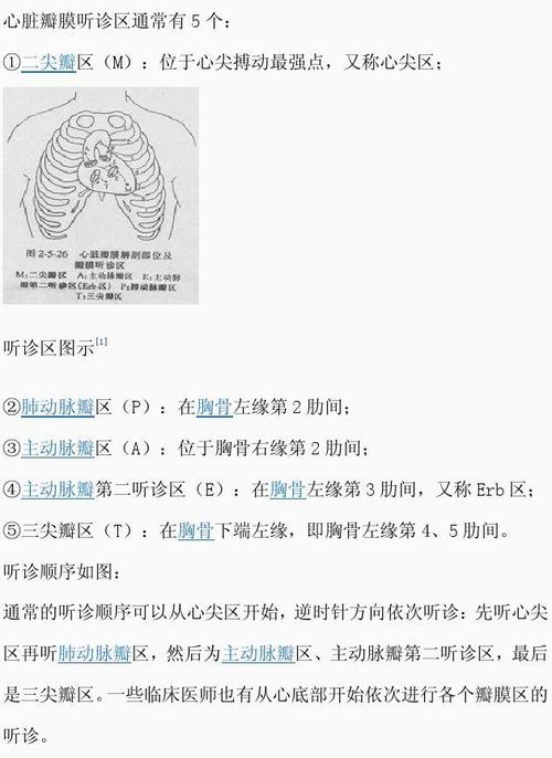 心脏瓣膜听诊区通常有 5 个: ①二尖瓣区(m):位于心尖搏动最强点,又