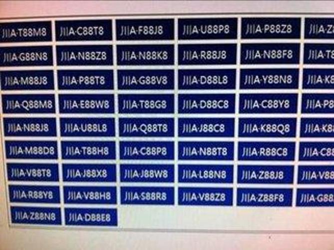 机动车号牌管理新政26日起实施吉祥号牌随机选