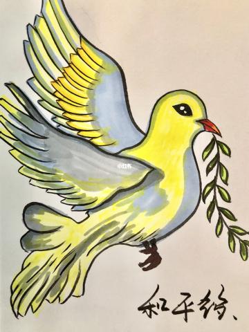 画鸟