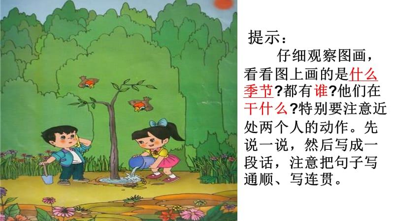 《植树》看图写话.ppt