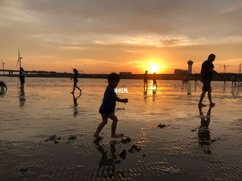 临港新城海滩_景点_海滩_南汇新城海滩攻略_摄影_一起