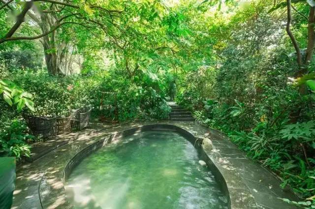 龙山温泉酒店拥有广东省独一无二, 世界极其珍稀的高温硫磺温泉.