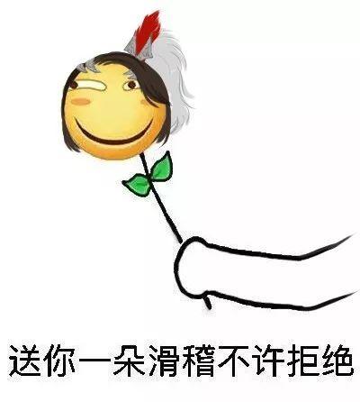 送你一朵滑稽!不许拒绝!