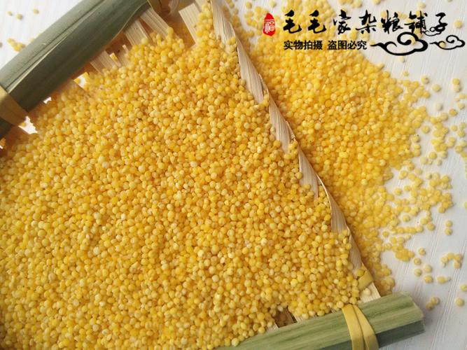 山西特产广灵新小米营养月子米小黄米稠粥宝宝米五谷杂粮小米500g