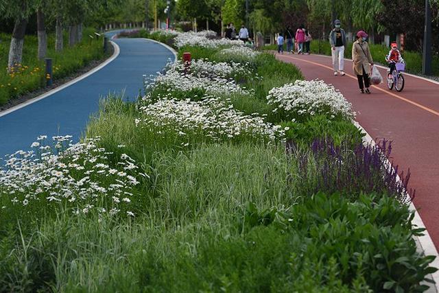 郴州市第一人民医院举办"世界精神卫生日"义诊活动