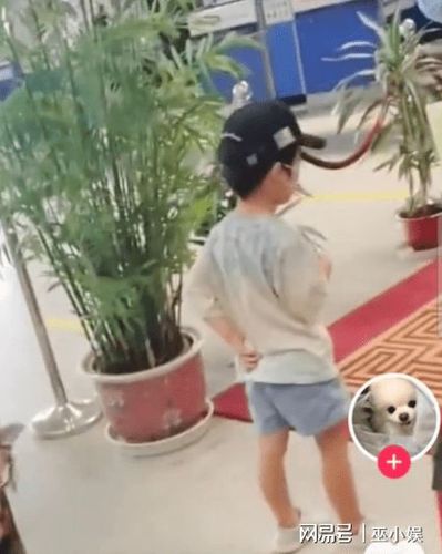 非常听话,小小年纪,大长腿就十分抢镜 ,虽然没有看到小海绵的正面照