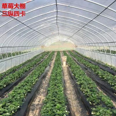 购客825 625型大棚骨架养殖种植蔬菜多肉园艺温室钢架大棚热镀锌防锈