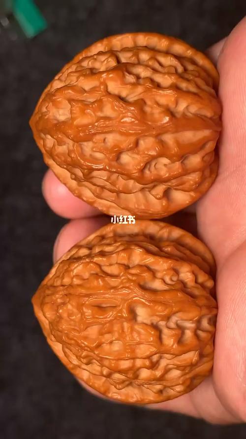 兴隆蜡皮金牛狮子头 野生小众尺寸37,密度大_小众_金牛座_狮子头_核桃