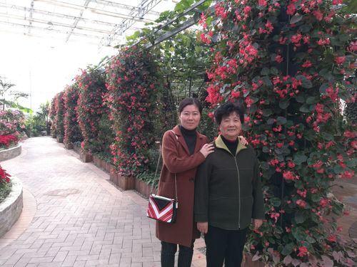 阜宁七彩农业园水晶花宫