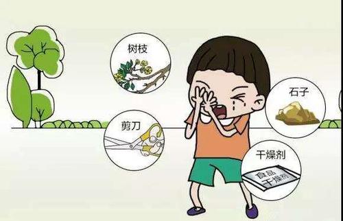 首大张兰:如何避免儿童眼外伤的发生