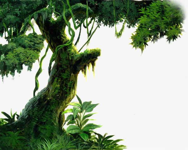 关键词 : 树藤,古树,树木,植物,大树