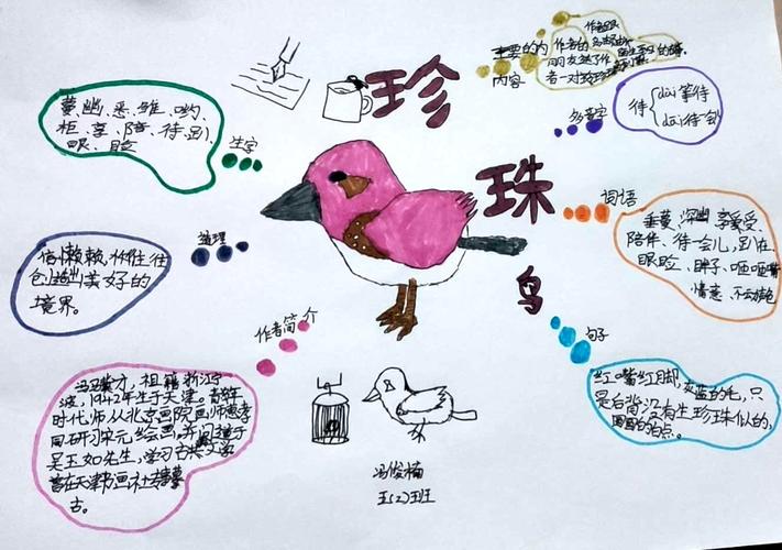 一起"画"语文(41)——《珍珠鸟》