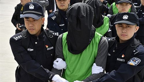 据新华网消息,近日,重庆市丰都县居民张某到丰都县公安局报警称,自己