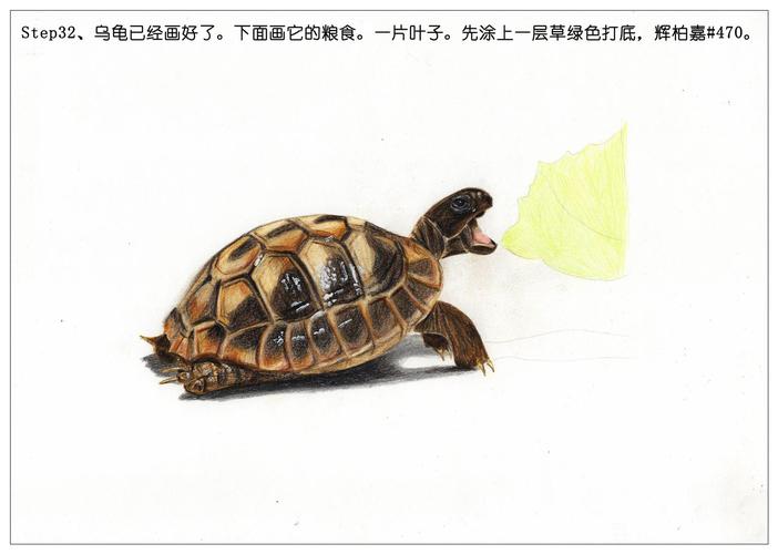 俗话说,千年的王八万年的龟.