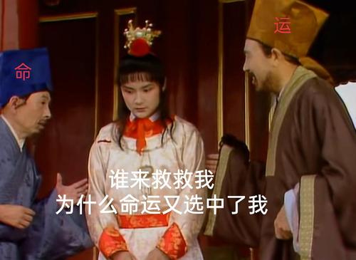 红楼梦表情包之呆雁